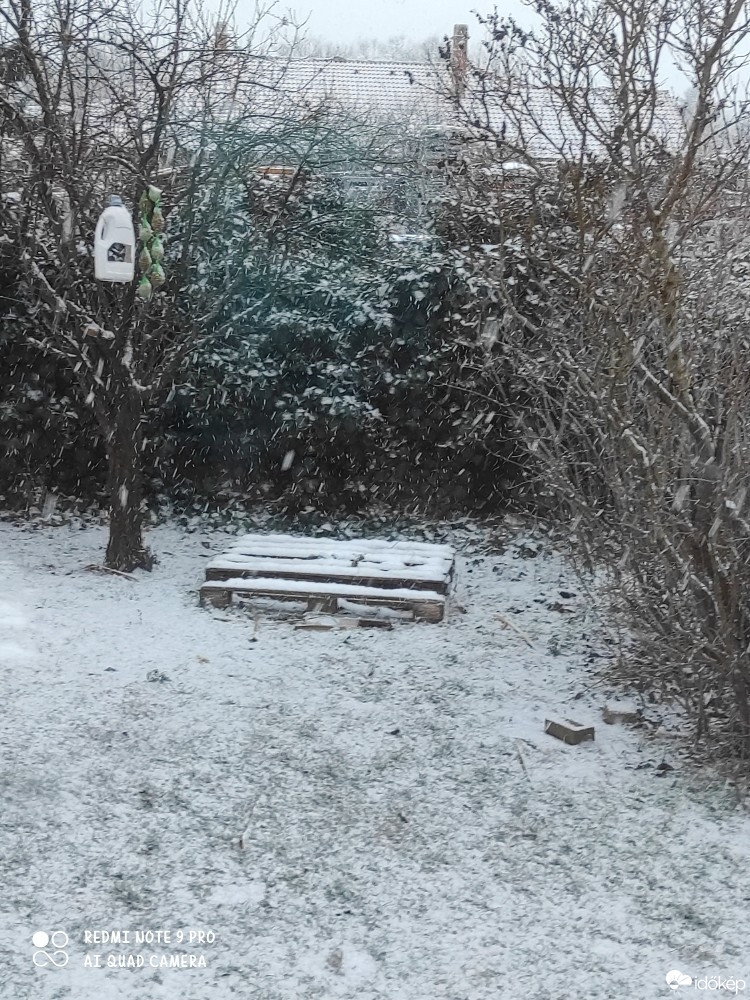 Észlelési fényképek