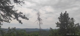 Sajóivánka