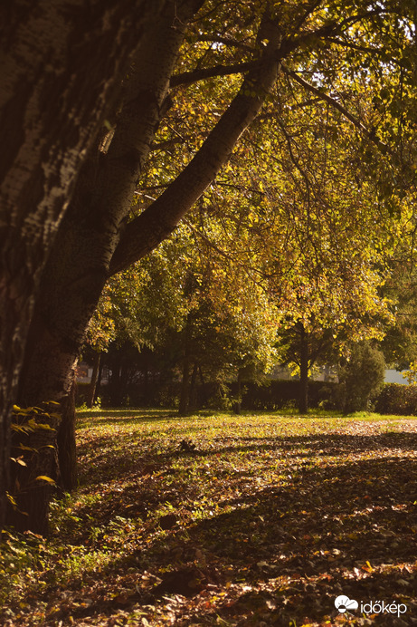 Gyönyörűséges:-)