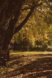 Gyönyörűséges:-)