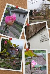 Csak mert sokan havas képeket osztanak meg :D