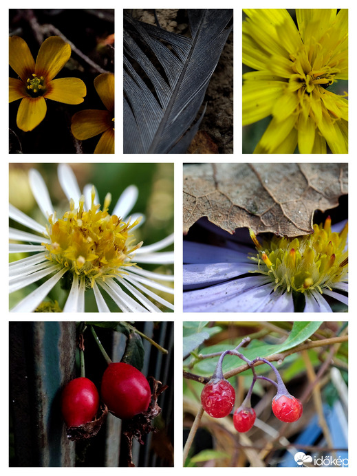 ,"elfogyott az élesztő :-))"