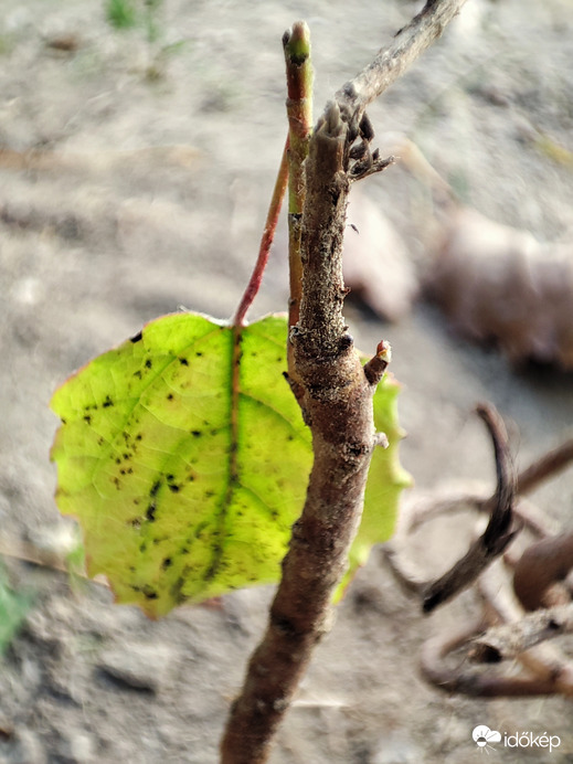 Az élet mindenhol és mindenkor élni akar...:-)