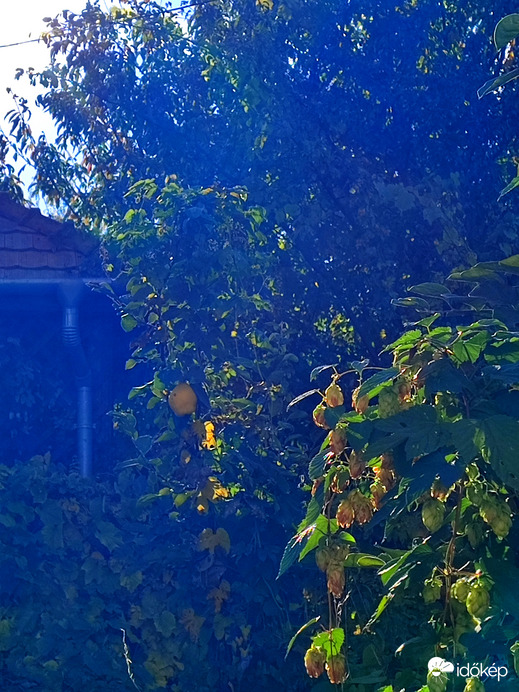 Birs? Igen,bírlak :-)