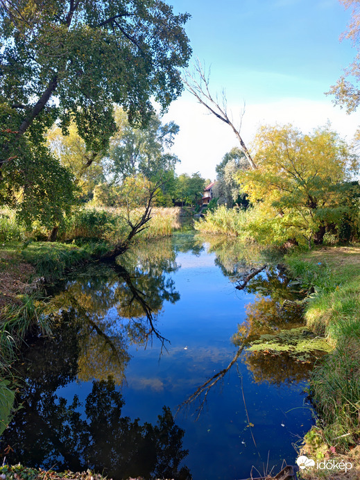 Megtestesült nyugalom 