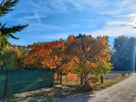 Csak úgy,mert szép 