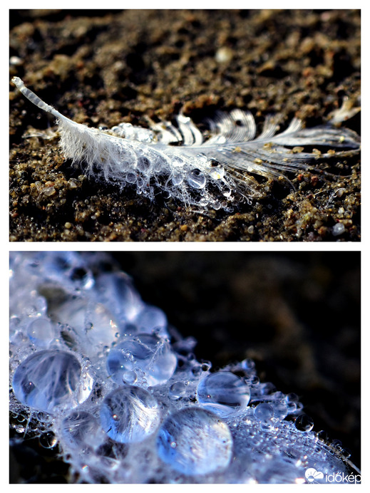 Egy hűvös őszi reggelen 