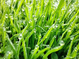 Megannyi apró gyöngy 