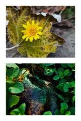 A téma mindig ott van,csak észre kell venni....