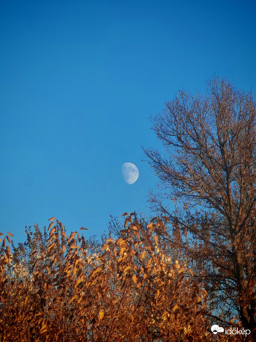 Őszies Hold 