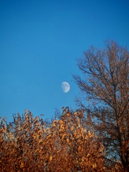 Őszies Hold 