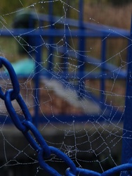 Láncos háló,vagy hálós lánc!:-)