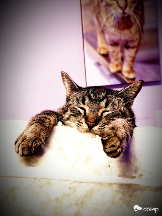 Mert élni tudni kell :-)