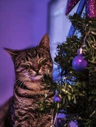 Együtt várjuk a karácsonyt :-)