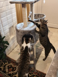 Ismerkedés az ajándékkal :-)