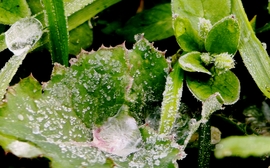 Hideg volt az éjjel....