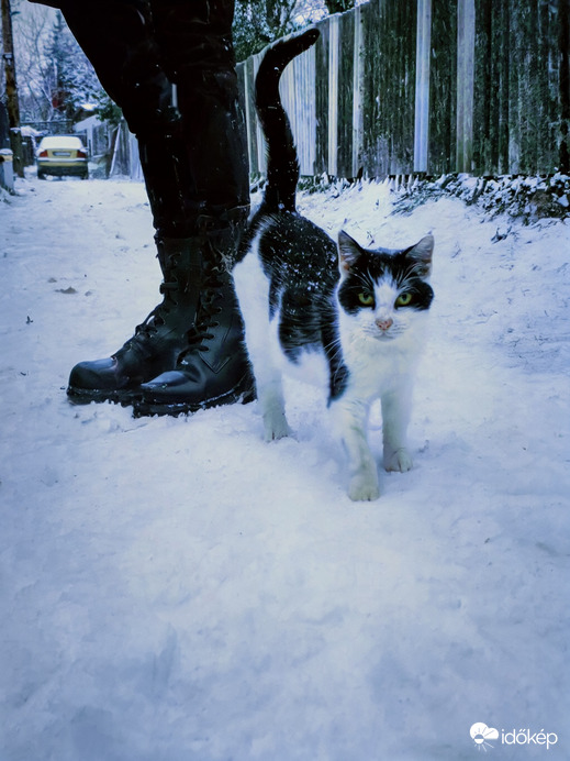 Elkísértem a gazdit:-)