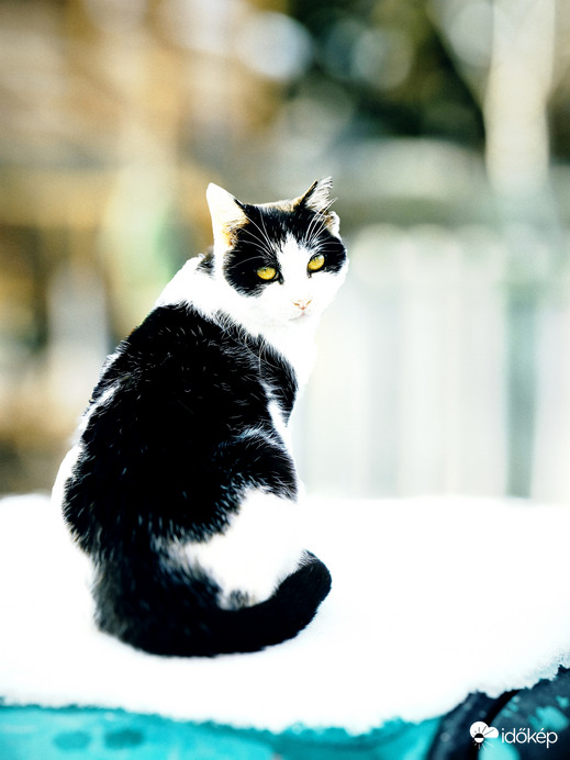 Ennyi maradt,erre vigyáznom kell :-)