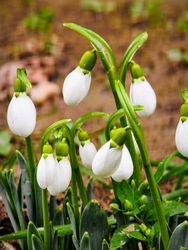 "...már a spájzban vannak ...."