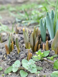 Mellettem az "utánpótlás" :-)