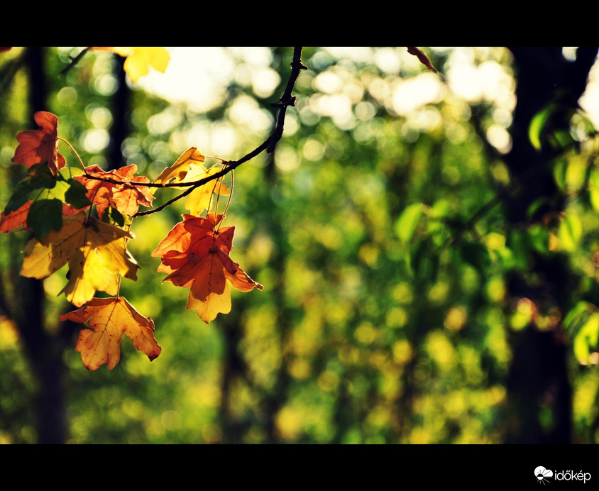 Mesés színekben...