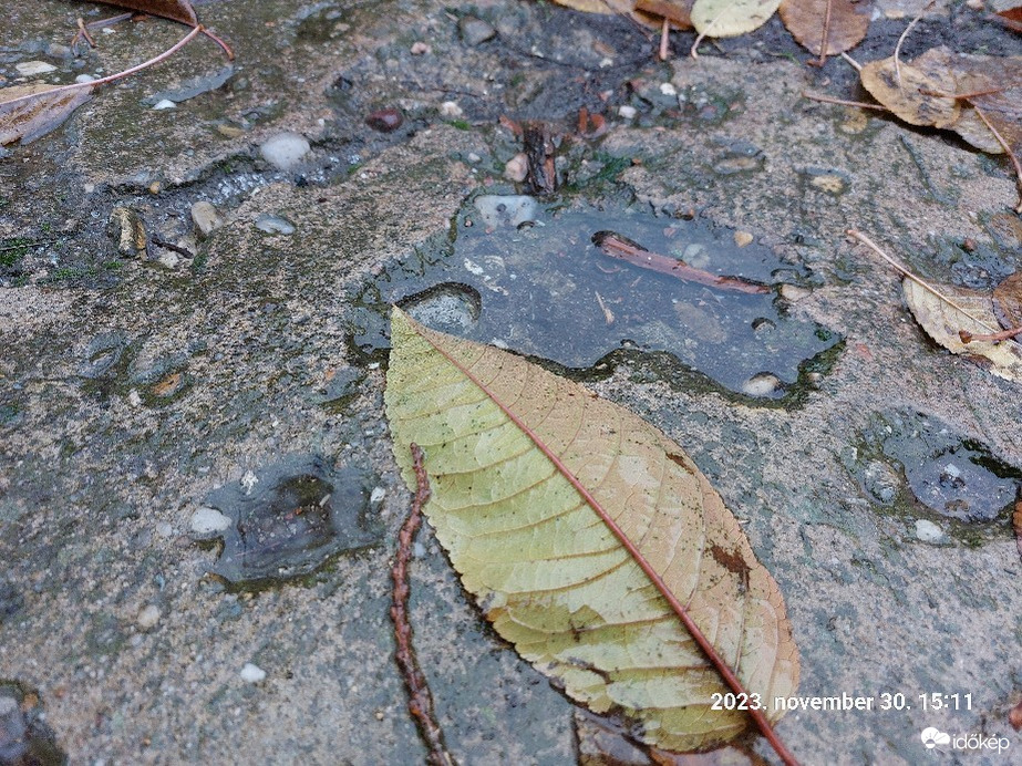 Észlelési fényképek