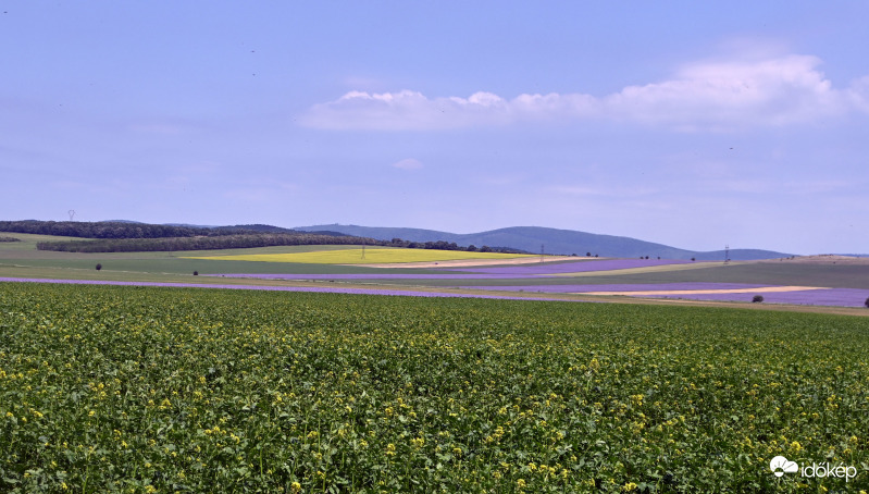 Balaton felvidék