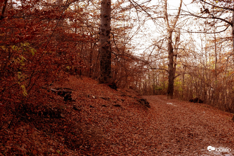 Avarral borított táj