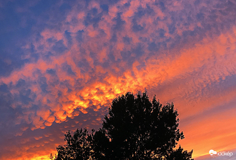 Budapest XI. kerület