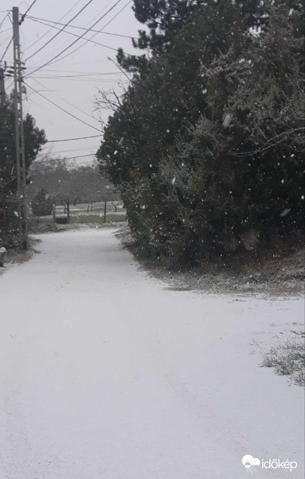 Észlelési fényképek