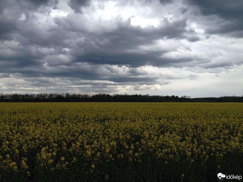 Észlelési fényképek