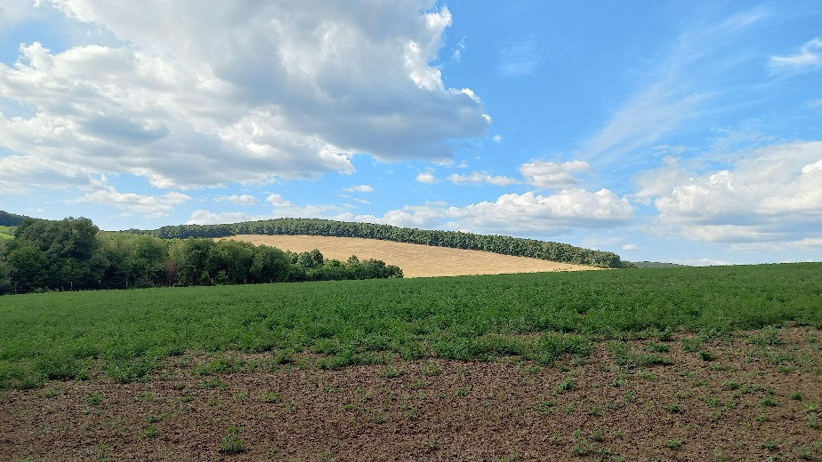 Petőfibánya