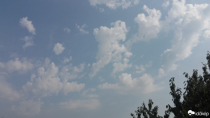 Észlelési fényképek