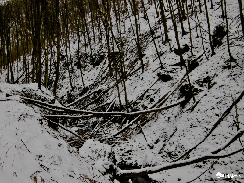 Pilisi tél 1