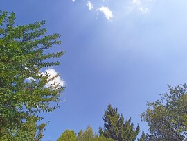 Badacsonytomaj