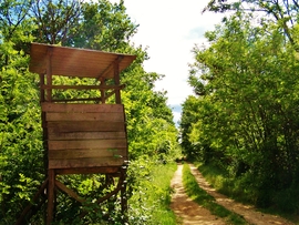 pecztibor fotója