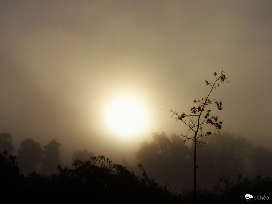 Ködös napkelte! 