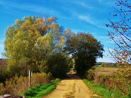 pecztibor fotója