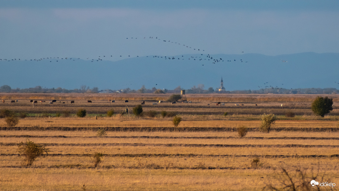 Daruvonulás a távolban