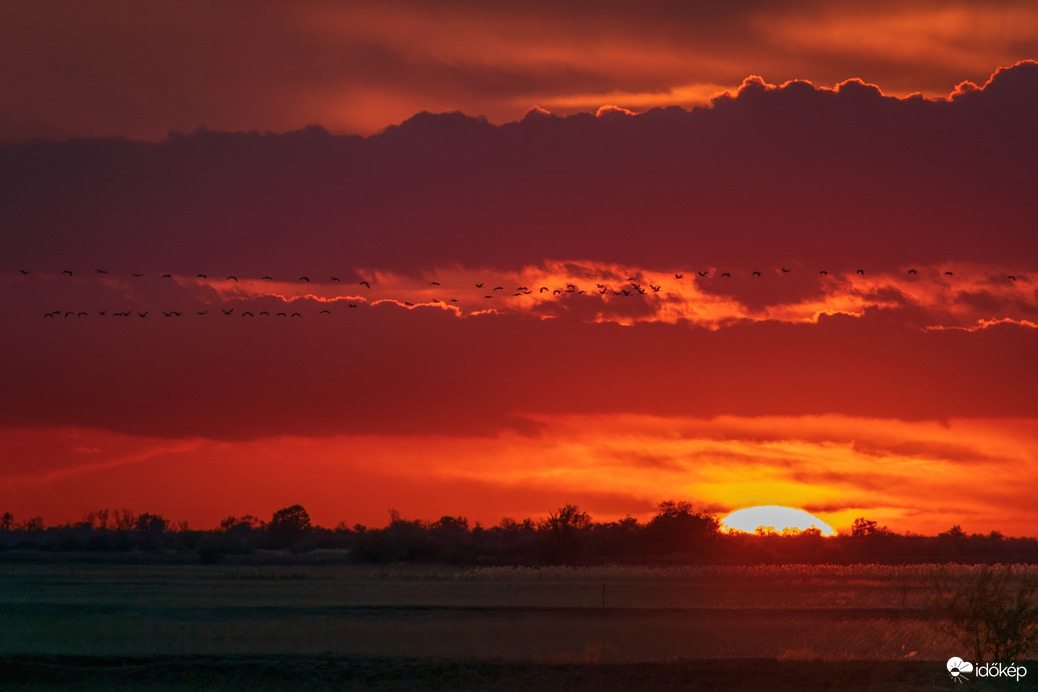 Naplementés daruvonulás Karcag határában