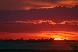 Naplementés daruvonulás Karcag határában