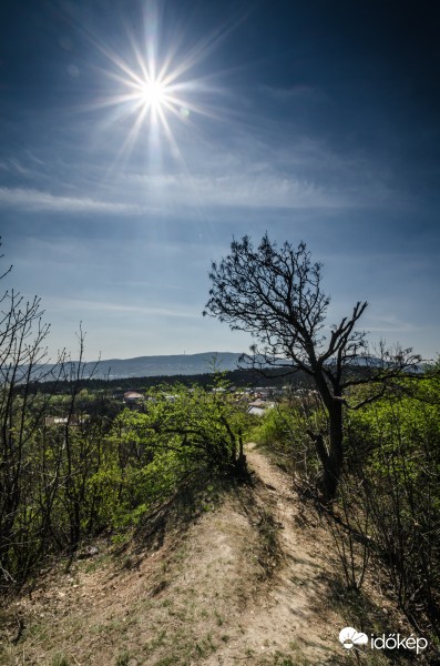 Szikrázó napsütés a Róka-hegyen