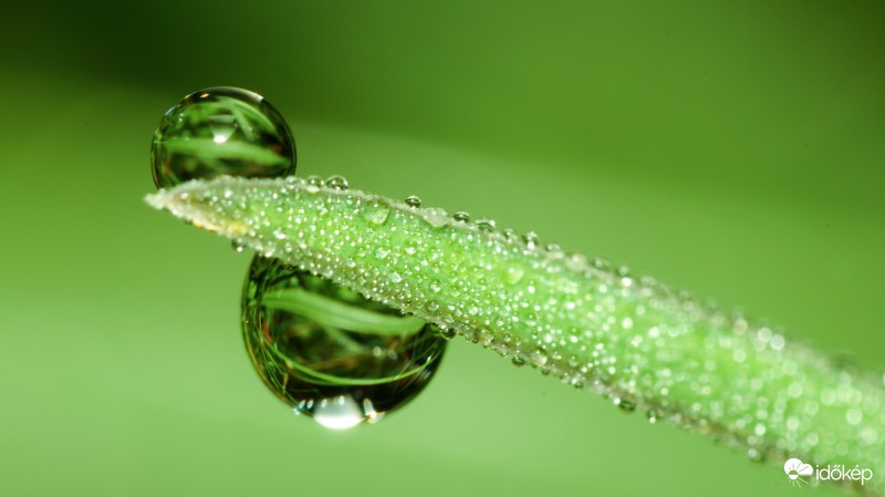 Harmatos jó reggelt!