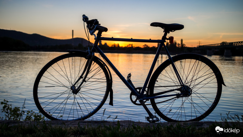 Drótszamár a naplementében