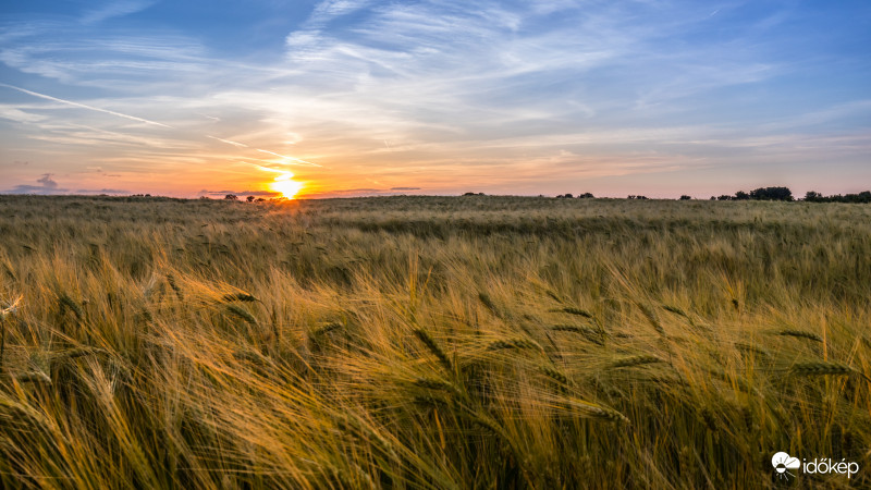 Naplemente a búzatábla felett