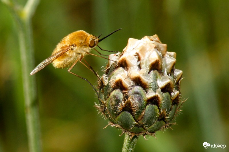 A hideg idő beköszöntével előkerülnek a nagykabátok