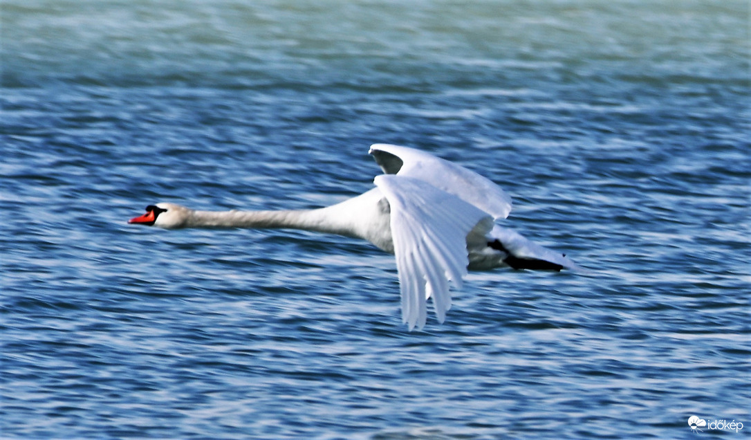 Balatonföldvár