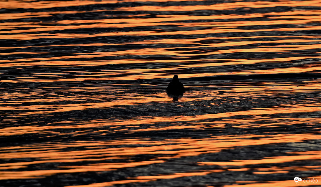 Karácsonyi Három Kacsákok
