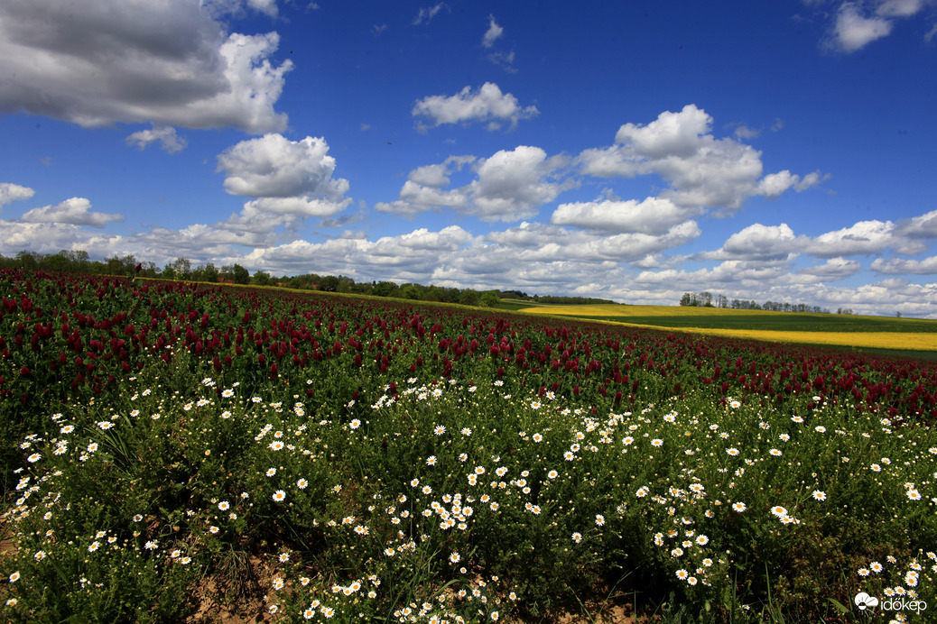 Észlelési fényképek