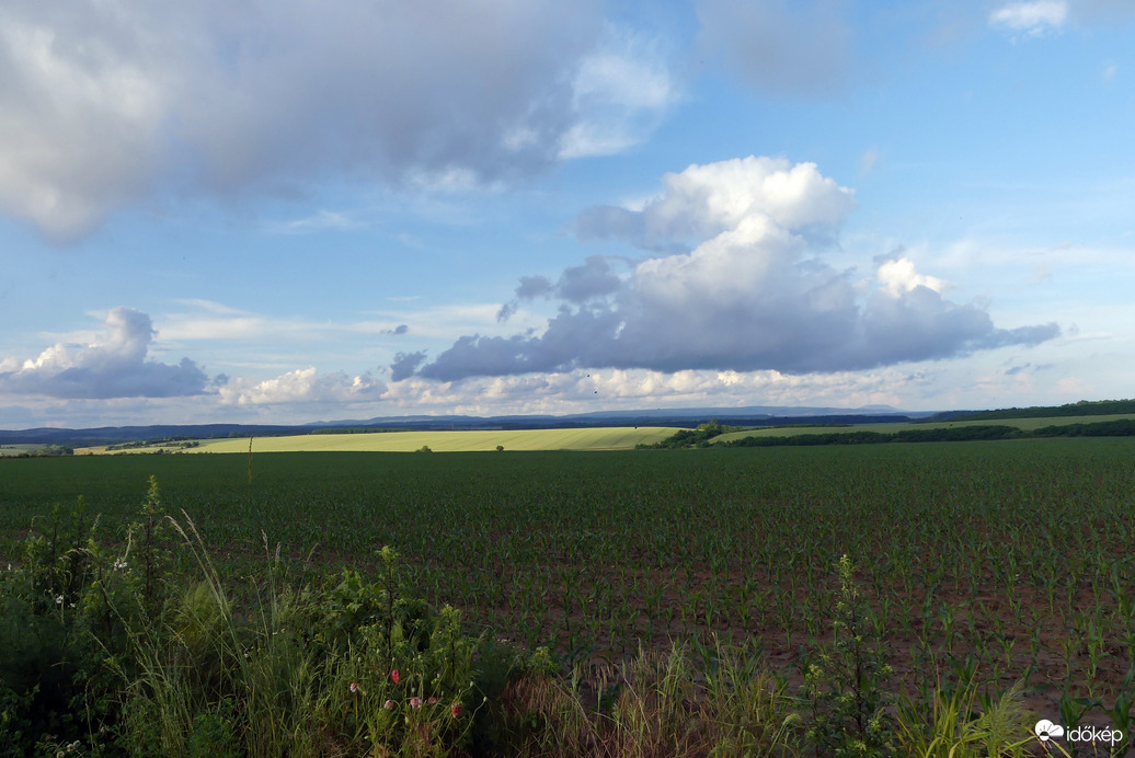 Észlelési fényképek